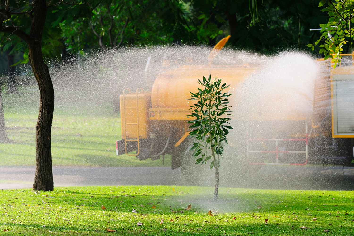 Truck Watering the Grass and Trees